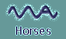 Click to see the horses