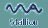 Click to see our stallion