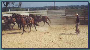 CLICK TO CLINIC 2003